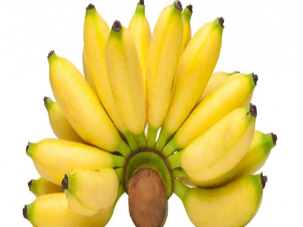 กล้วยน้ำว้า